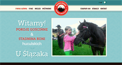 Desktop Screenshot of bieszczadykonienoclegi.pl