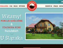 Tablet Screenshot of bieszczadykonienoclegi.pl